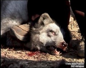 29534_127052640660716_100000679417517_194059_5926804_n1