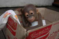 41345_1543815589076_1045577119_31622665_3585910_n