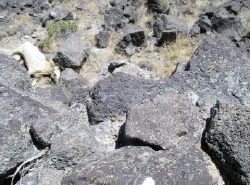 katiefitephotohorsedeadonrocks__2_