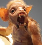 piccinini-bodyguard-for-golden-helmeted-honeyeater