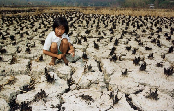 An ethnic Rungus girl plays with burnt-out paddy stumps at a parched paddy field in Merlebau village..