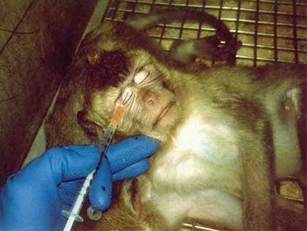 n1545879777_276678_126810