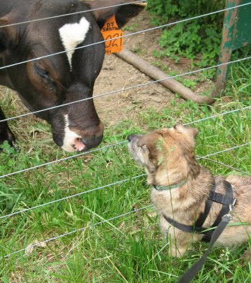 3567261221_548f2a57ac_o