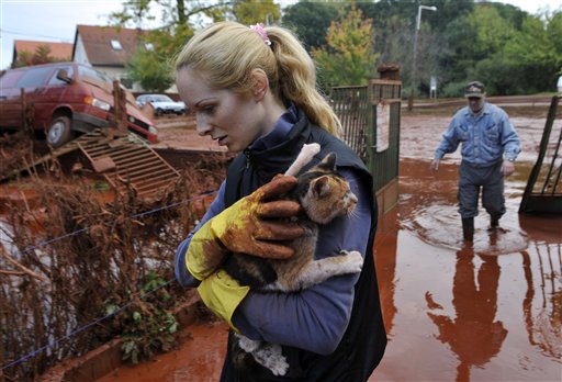 Tunde Erdelyi, Janos Kis