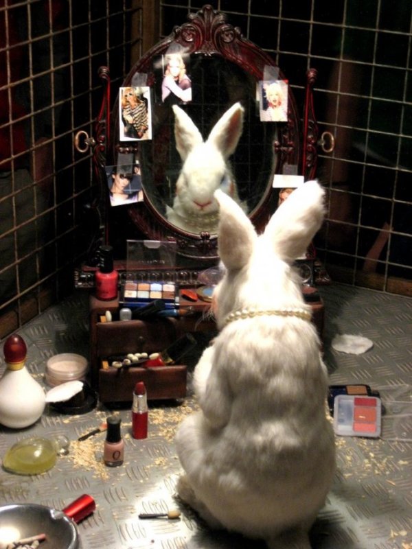 animal_wrongs__by_atomic_ellie (1)