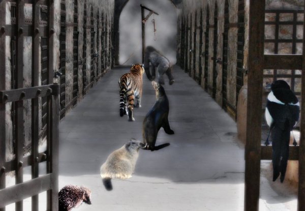 the_corridor_of_the_extinction_by_frenchfox (1)