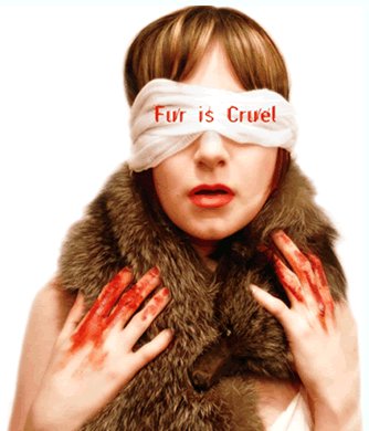 68950_449883724215_582594215_5104242_6767975_n