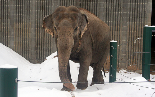 2132147837_fe7e393f07