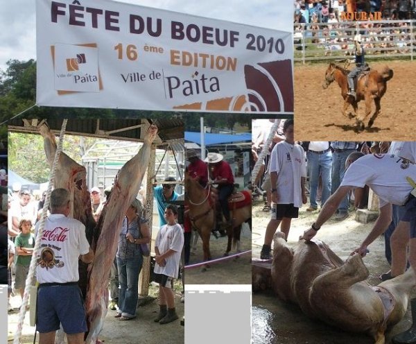 167525_1699245635935_1081730989_31816216_1409078_n