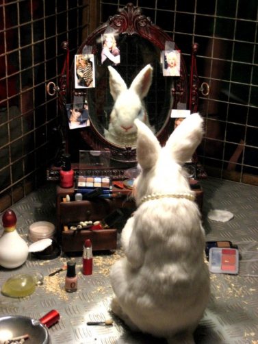 animal_wrongs__by_atomic_ellie