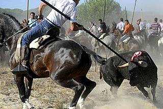 RTEmagicC_20100930_Platanito_killed1_2010__c__unknown_06