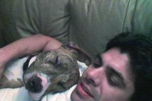 28-1n003-puppylove1-c-300x300