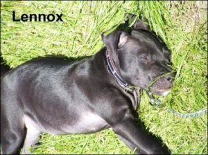 lennox