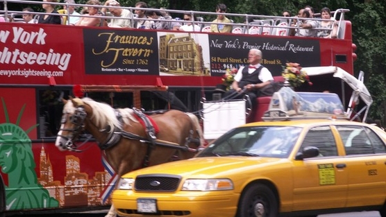 Coalition to ban horse-drawn carriages