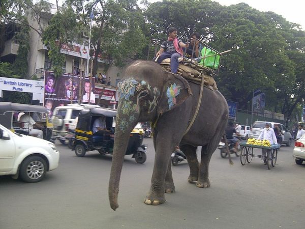 Wikimedia Commons, not Nosey