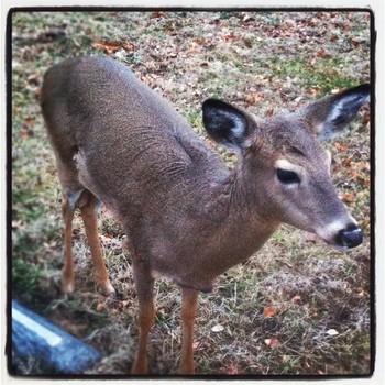 Facebook/Jody Haherty