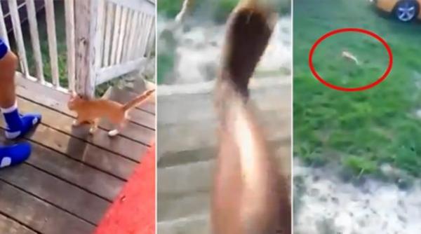 VinesAndStuff @ YouTube