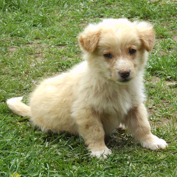 Wikimedia Commons, not London