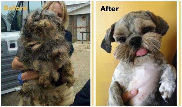 1503853_730666193618503_952025116_n