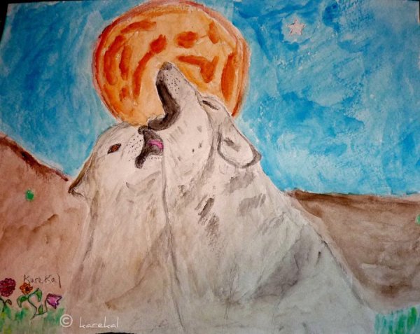 208566_203946882969695_1560835_n