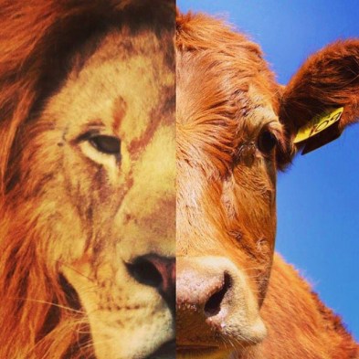 Courtesy of Warrior of Light Facebook page