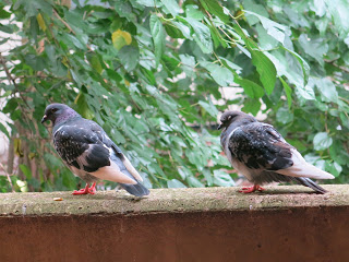 Karen Lyons Kalmenson