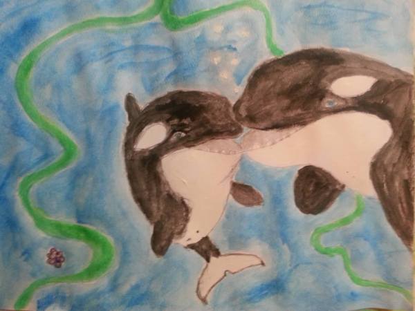orcas-dream