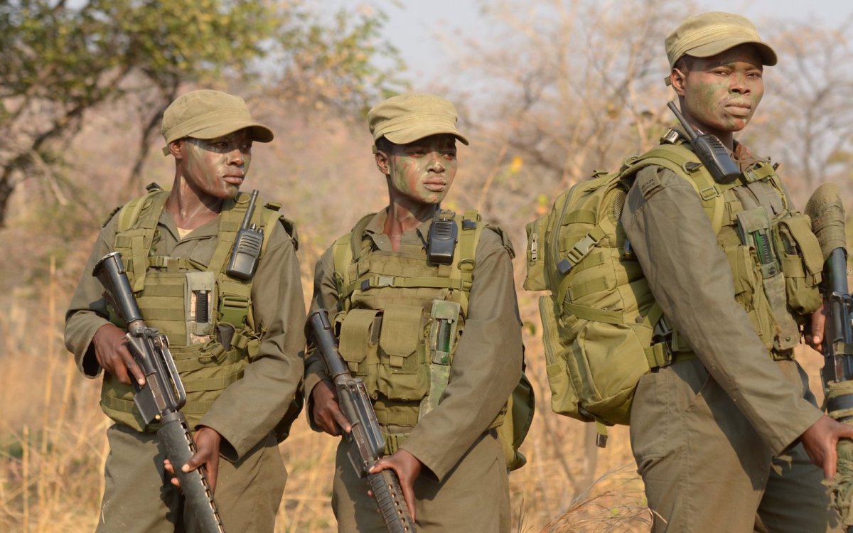 32073015_1958832607484508_6850884007224147968_o-1