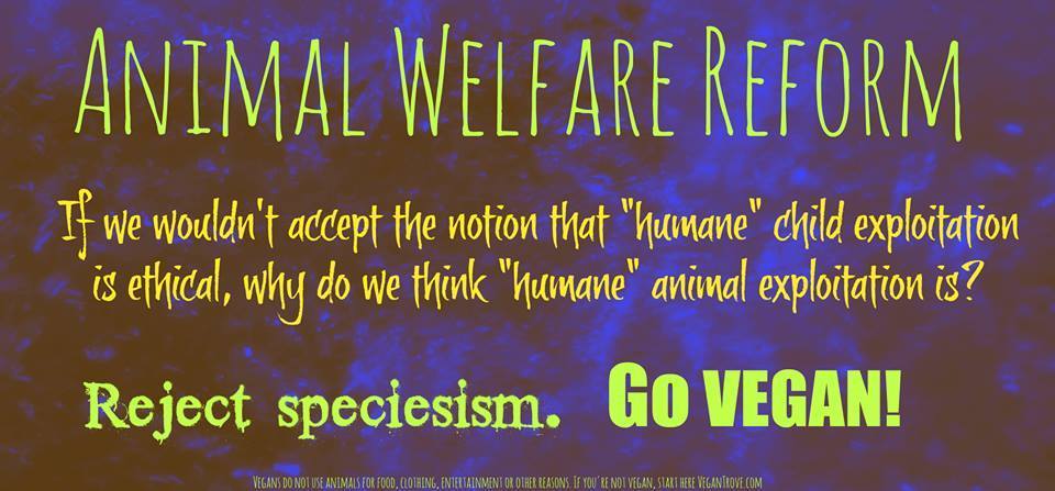 Vegan-animal-welfare-reform