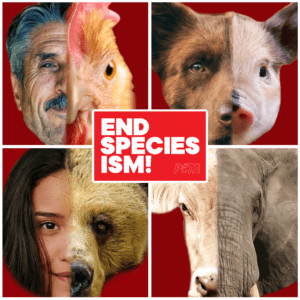 GEN-EndSpeciesism_ShareableImageUpdate-NC-PO-300x300